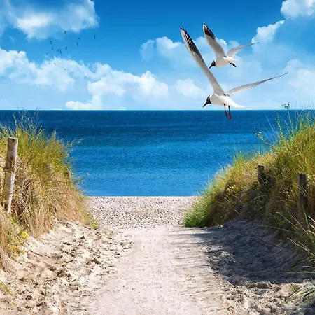Ostsee-herd-rueckzugsort In *